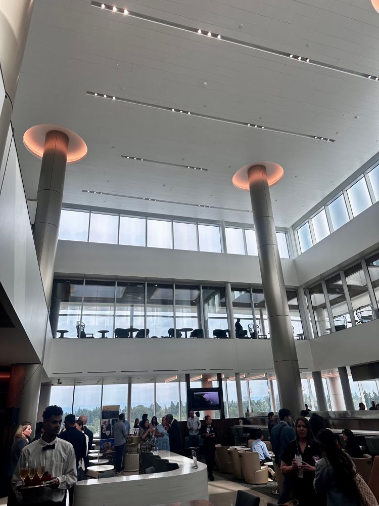 The lounges 
