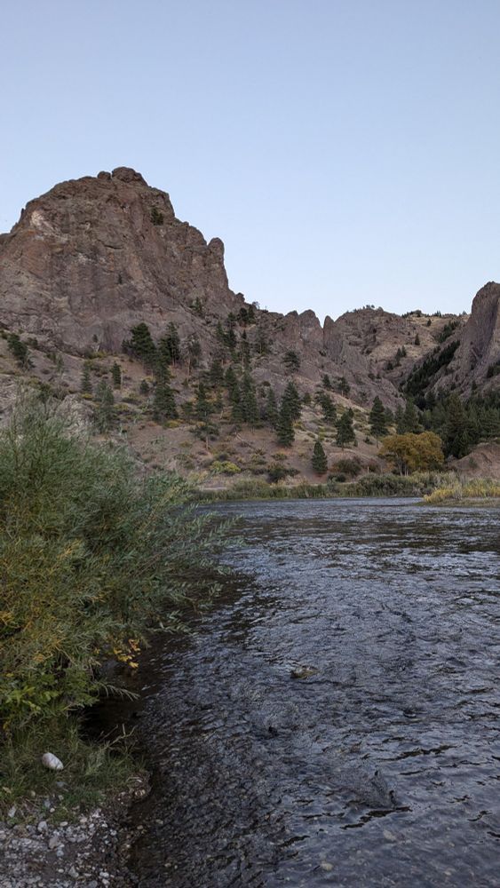 The Missouri River flows along the right side of the picture. The river bank is formed with bushes. Small, rocky hills rise up in the background. The sky is a light blue with no clouds.