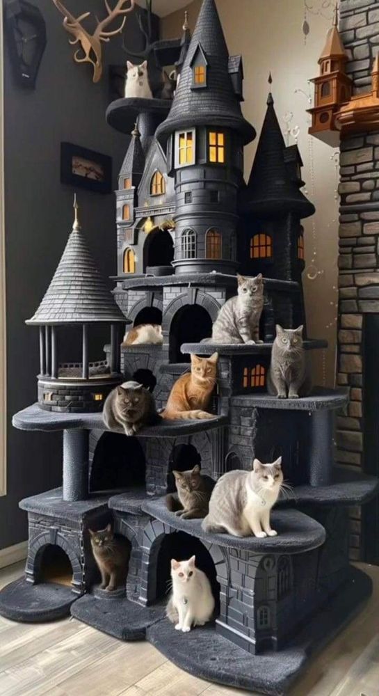 A castle cat tree in grey wood and carpet construction. The castle is similar to what is typically seen in Disney animated films
5 main levels with many perches in between levels 
10 cats scattered throughout the  structure