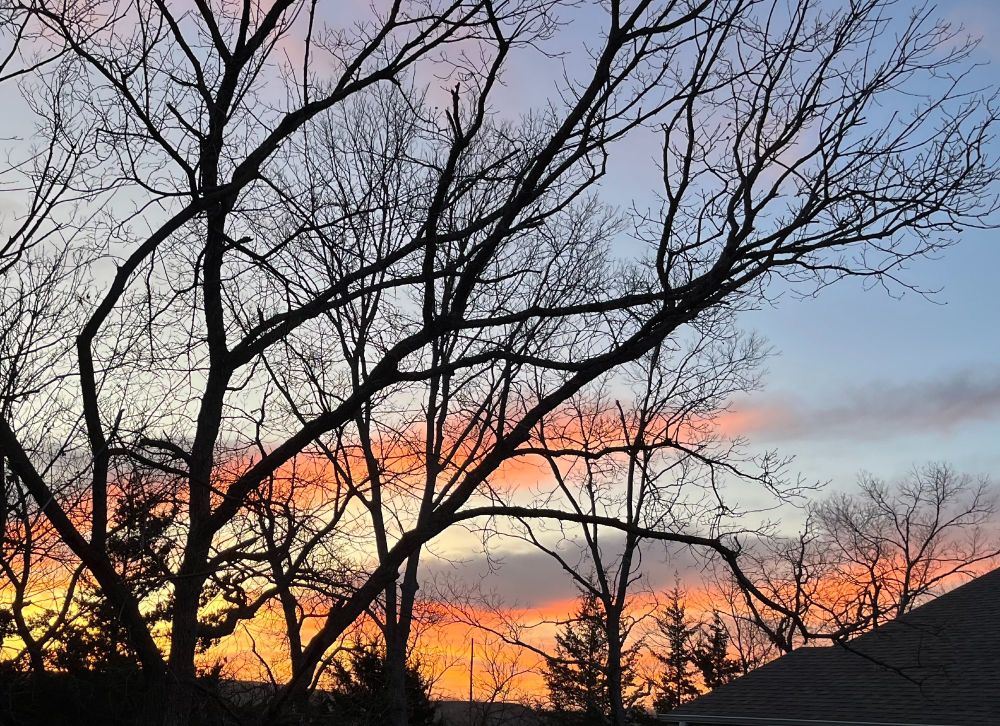 orange and yellow sunrise behind bare trees