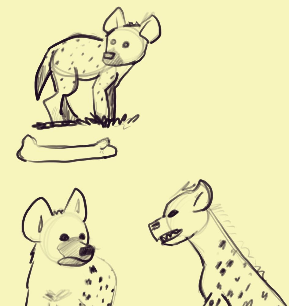 3 hyena sketches. 2 hyenas are just looking around while one hyena is jumping out from the side, ready to attack (I guess?).