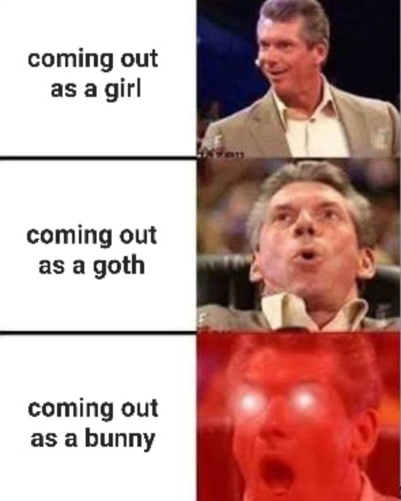 "coming out as a girl" with a man looking pleased

"coming out as goth" with a man looking very pleased

"coming out as a bunny' with a man looking so pleased that red lens flares are shooting from his eyes