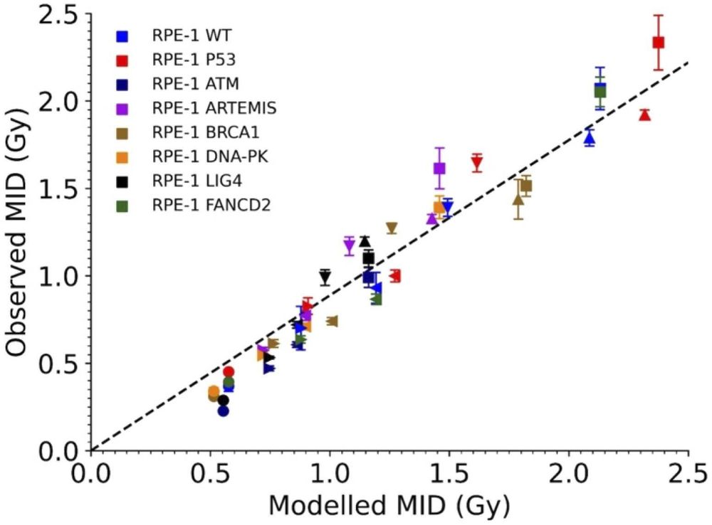 Fig. 5. Medras accurately predicts radiation response in different cell models, shown by the correlation between Medras-predicted and experimentally obtained MID values. 

