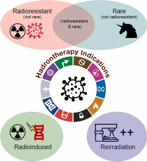 Fig. 1. The 4Rs of hadrontherapy indications: R-adioresistant, R-are, R-ecurrent, and R-adioinduced tumours. Figure made by iInkscape Project.