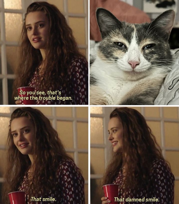A meme from a movie with 4 panels its a you woman or girl stating "So you see, that's
where the trouble began.

That smile.

That damned smile." And its with a picture of monkey of monkey and oreo fame she is a grey peach and white cat with a very infectious and unusual smile with teeth showing at times

