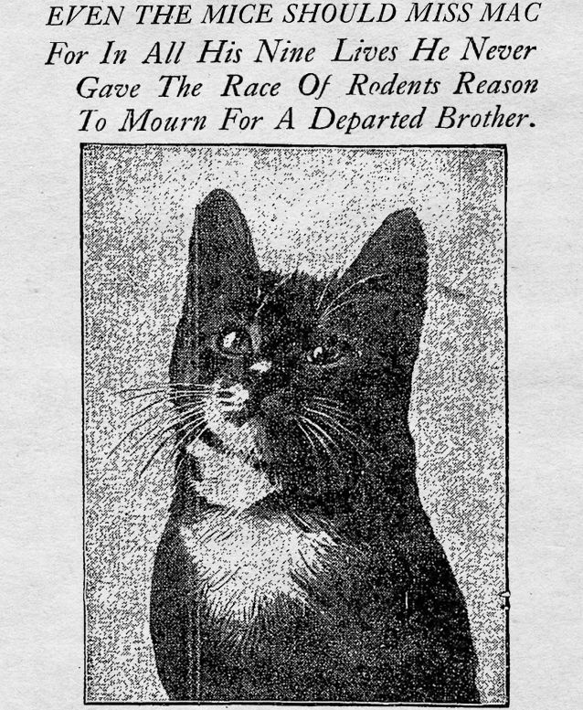 Its a black and white print of a cat and it reads above the photo " EVEN THE MICE SHOULD MISS MAC. For in all his nine lives he never gave the race of rodents reason to mourn for a departed brother."  Its a newspaper print from the Baltimore Sun Newspaper 
