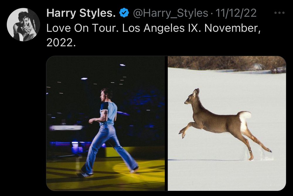 A screenshot of a tweet from Harry Styles on November 12, 2022. He wrote "Love On Tour. Los Angeles IX. November, 2022." He attached two photos, one of himself running onstage with his legs apart, and the other of a deer running through the snow.