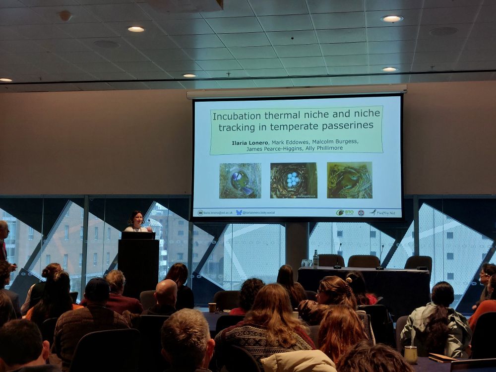 Ilaria Lonero giving a talk on 'Incubation thermal niche and niche tracking in temperate passerine'