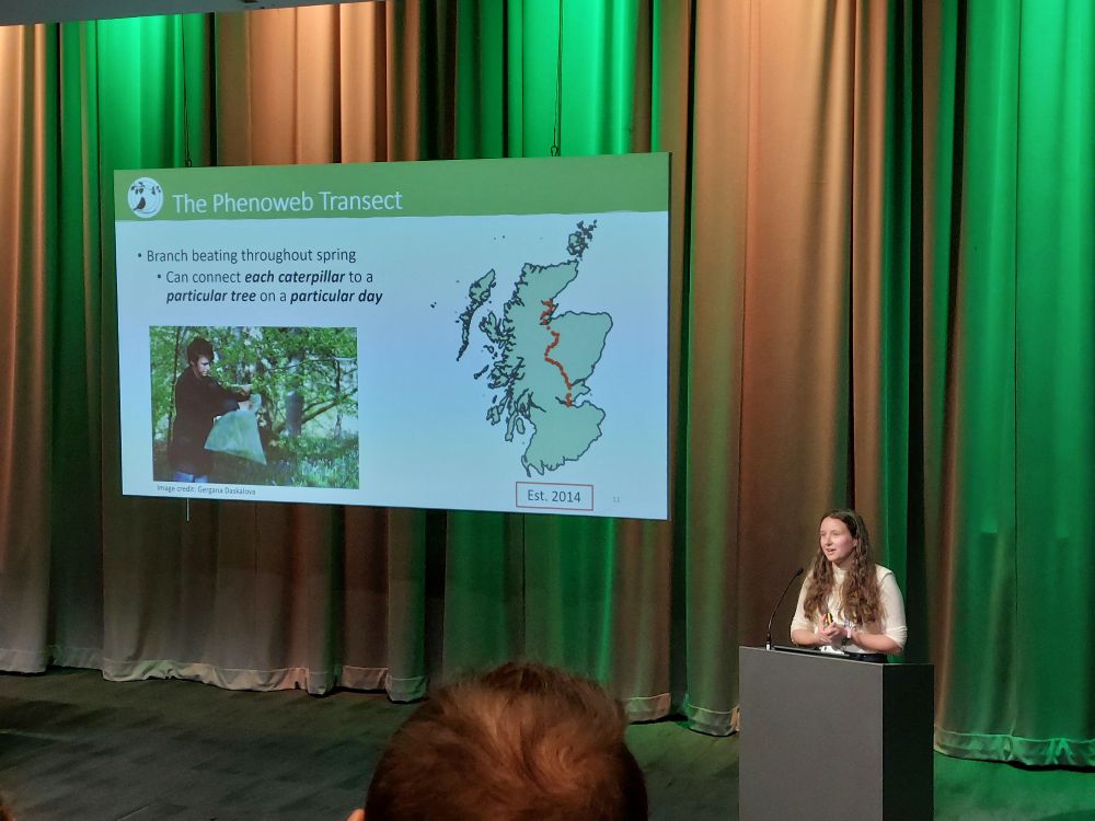 Megan Stamp giving a talk on the drivers of caterpillar community composition, in front of a slide introducing the Phenoweb transect.