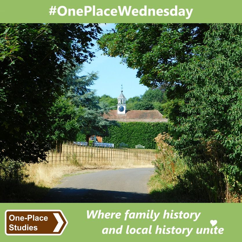#OnePlaceWednesday. 
Image: Photo looking towards a grassy field, a tall laurel hedge (with benches at its base) beyond, and the roof (topped with a small clock tower) of a building behind it. In the foreground is a tarmacced lane curving round to the right and out of sight; the view is framed by the foliage of trees (including Sycamore, Cherry and Beech) on the left and right, reaching over the lane to almost touch at the top of the image. 
One-Place Studies, where family history and local history unite.