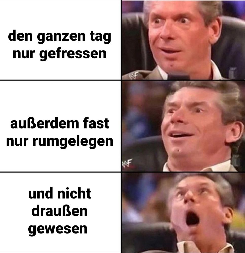 Ein meme: rechts in drei untereinanderliegenden Panels ein Typ (Vince McMahon) dessen Gesichtsausdruck immer mehr in übertriebene Ekstase gerät. Links daneben steht:
- den ganzen Tag nur gefressen
- außerdem fast nur rumgelegen
- und nicht draußen gewesen