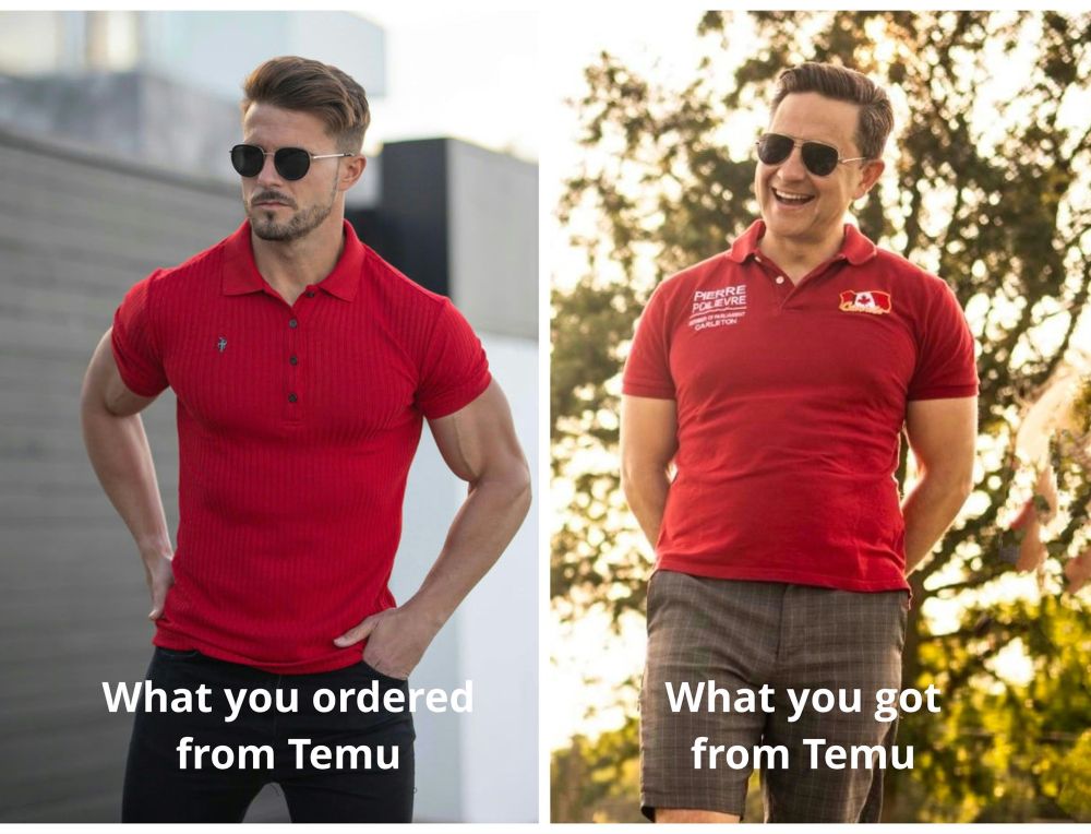 Hot man in red with caption: what you order from Temu
Split screed with a pic of Pierre Poilievre with the caption: what you got from Temu 