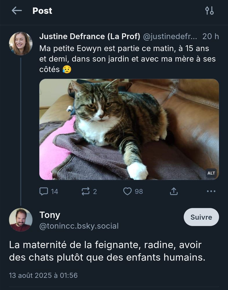 Gars nommé @tomincc.bsly.social qui, en réponse à mon post sur la mort de mon chat, déclare "La maternité de la feignante, radine, avoir des chats plutôt que des enfants humains"