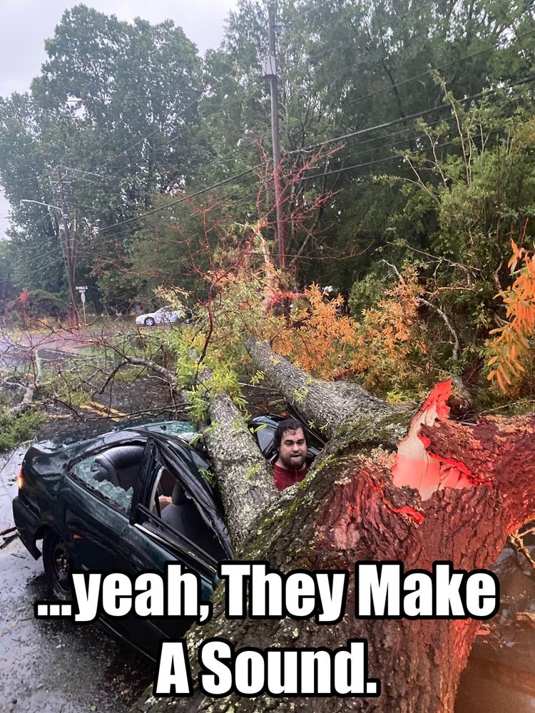 A tree has crushed a car, with the driver sticking out the top, cheating death. Text reads: “Yeah, they make a sound.” 