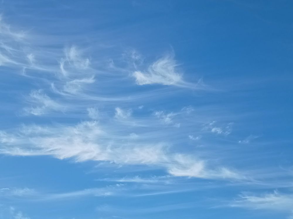 Whispy clouds in a blue sky, they look like they might have been painted in the sky using a fan brush