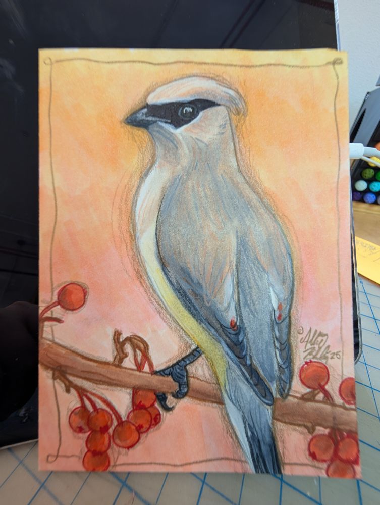 Mixed media (color pencil & art marker) drawing of a cedar waxwings per head on a branch decked with red berries, looking over its shoulder at the viewer against a backdrop that fades from pinks to oranges to yellows.