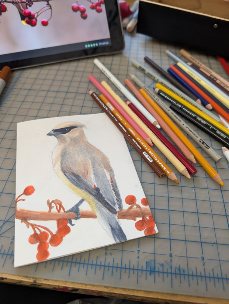 Photo showing the partially-finished card lying on a desk on top of a mat with grids and ruled lines, next to a random pile of color pencils with a tablet in the background clearly showing reference for at least the berries.