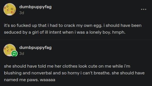 A tumblr post by user "dumbpuppyf*g" that says "it's so fucked up that I had to crack my own egg. i should have been seduced by a girl of ill intent when i was a lonely boy. hmph." followed up by a reblog from the same user that says "she should have told me her clothes look cute on me while i'm blushing and nonverbal and so horny i can't breathe. she should have named me paws. waaaaa"