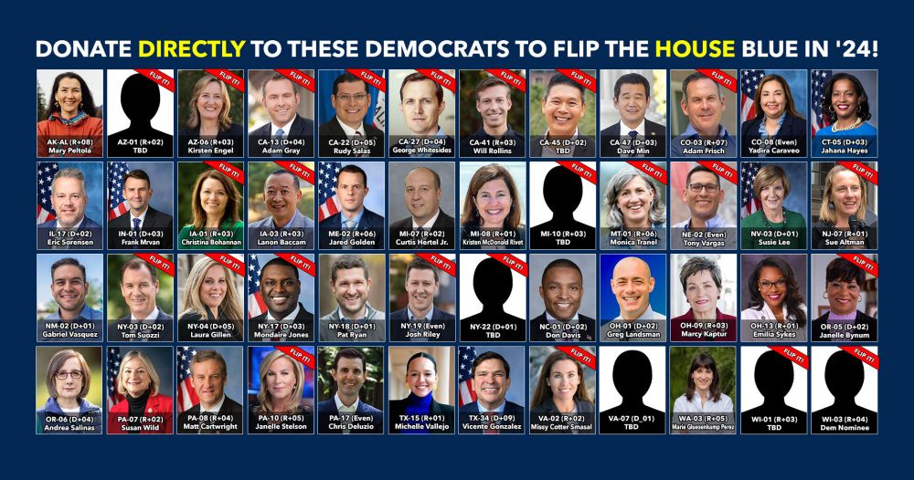 Help flip the #HouseBlueIn24!