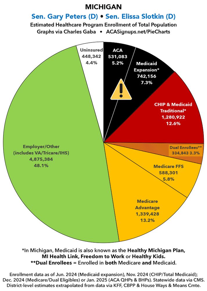 Michigan: Breakout of healthcare coverage for total population