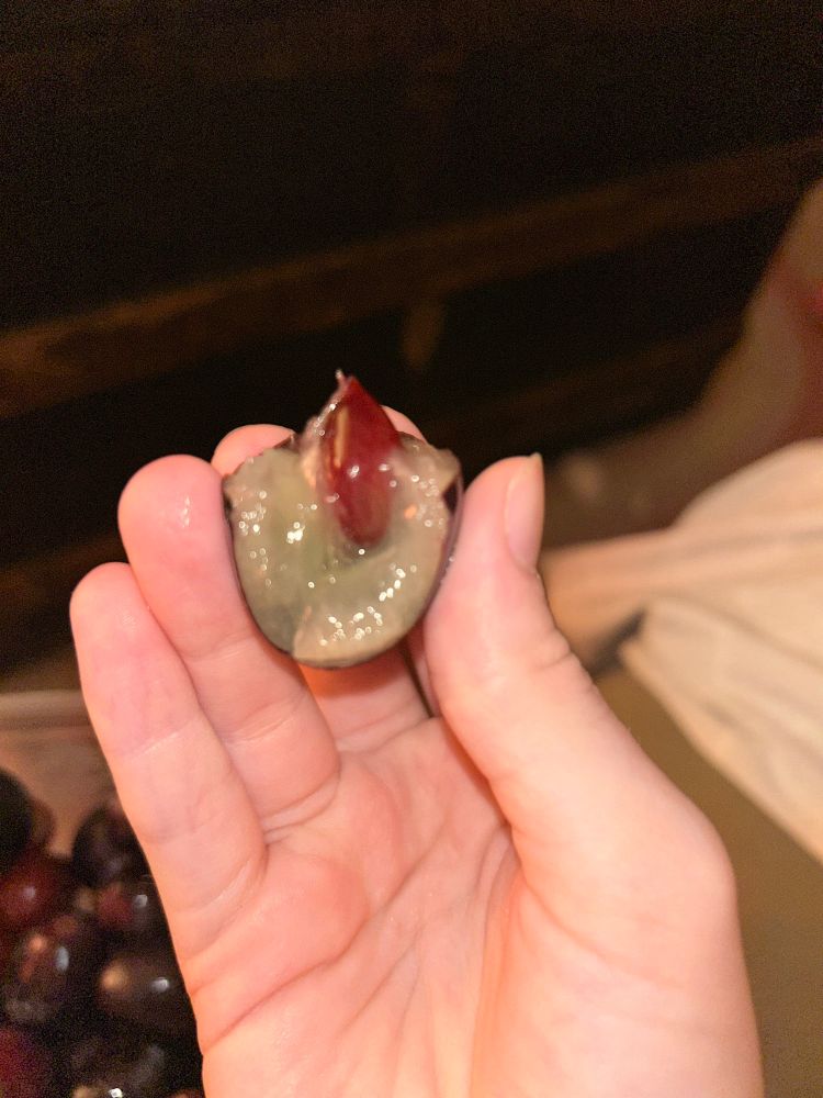a MASSIVE grape with 2 bites taken out of it. IT WAS HIDING A 2ND, SMALLER GRAPE INSIDE IT