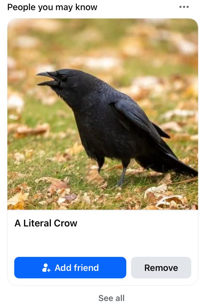 Screenshot of Facebook friends suggestion 
Picture of a crow cawing
Add friend “A Literal Crow”