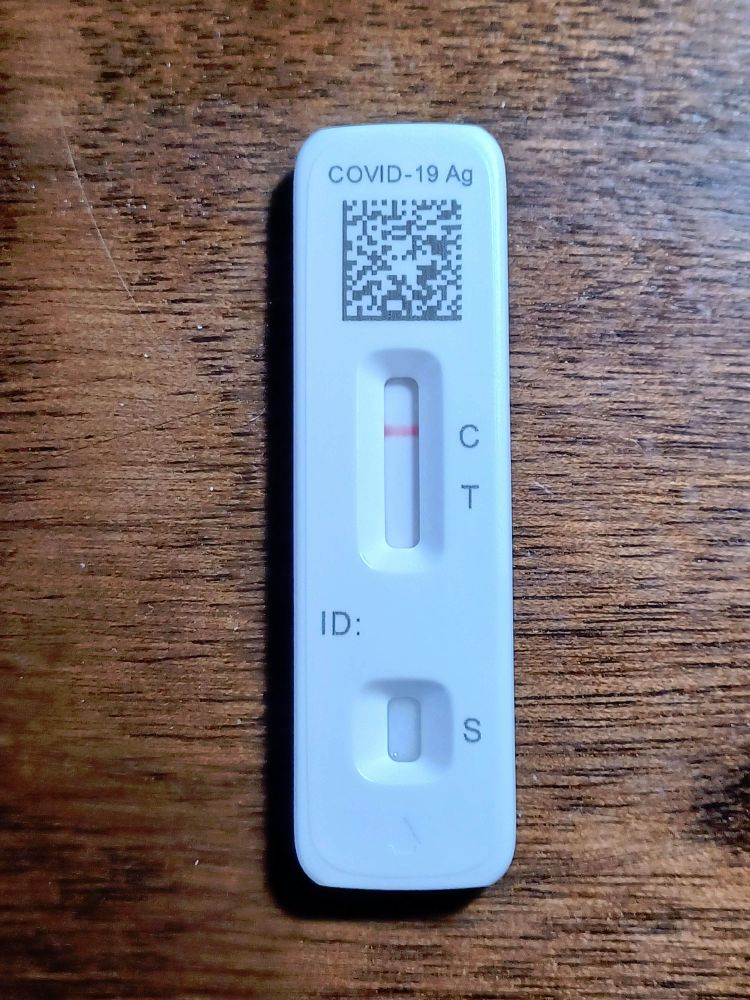 Covid test showing a negative result.