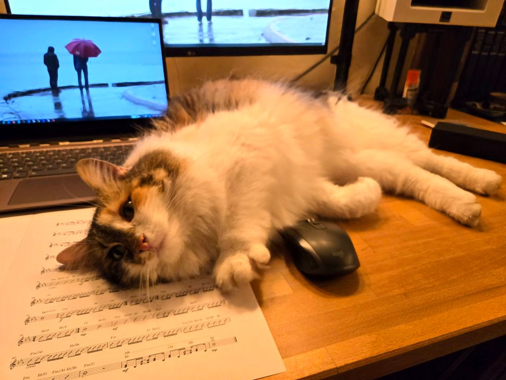 SanFran, a longhair calico cat, lies across a desk in front of a computer with a computer mouse between her paws. Under her head is a piece of sheet music, which I'm supposed to be studying... 
