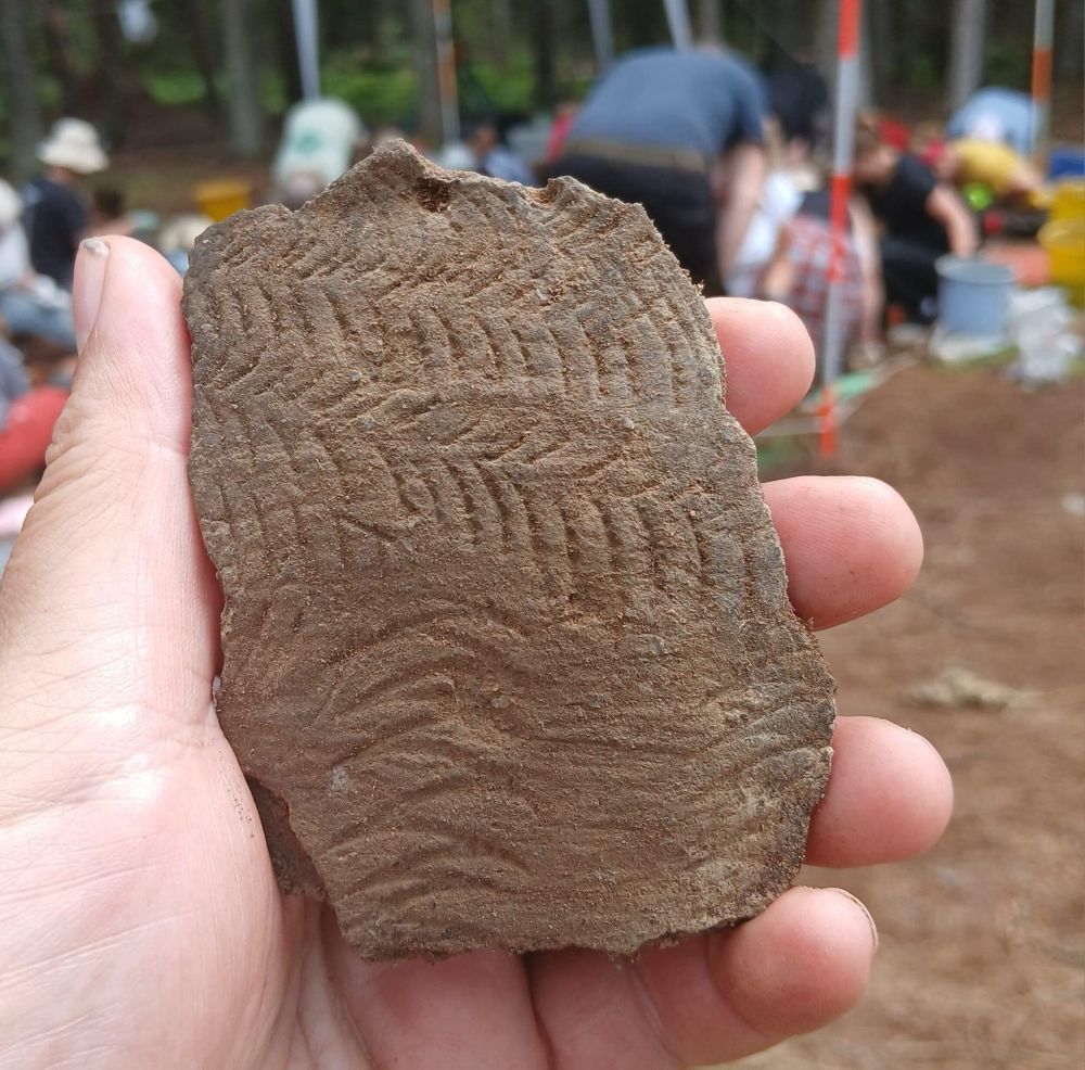 Pottery from stone age