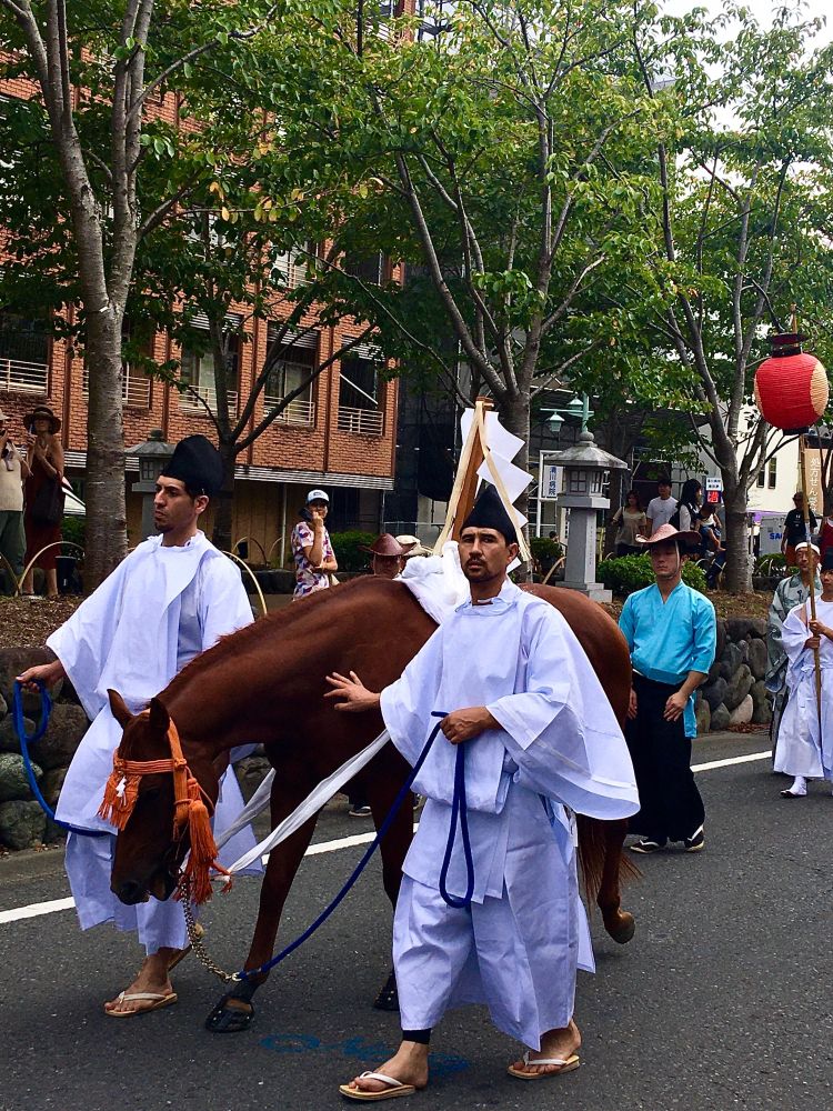 鶴岡八幡宮例大祭・神幸祭の神馬。