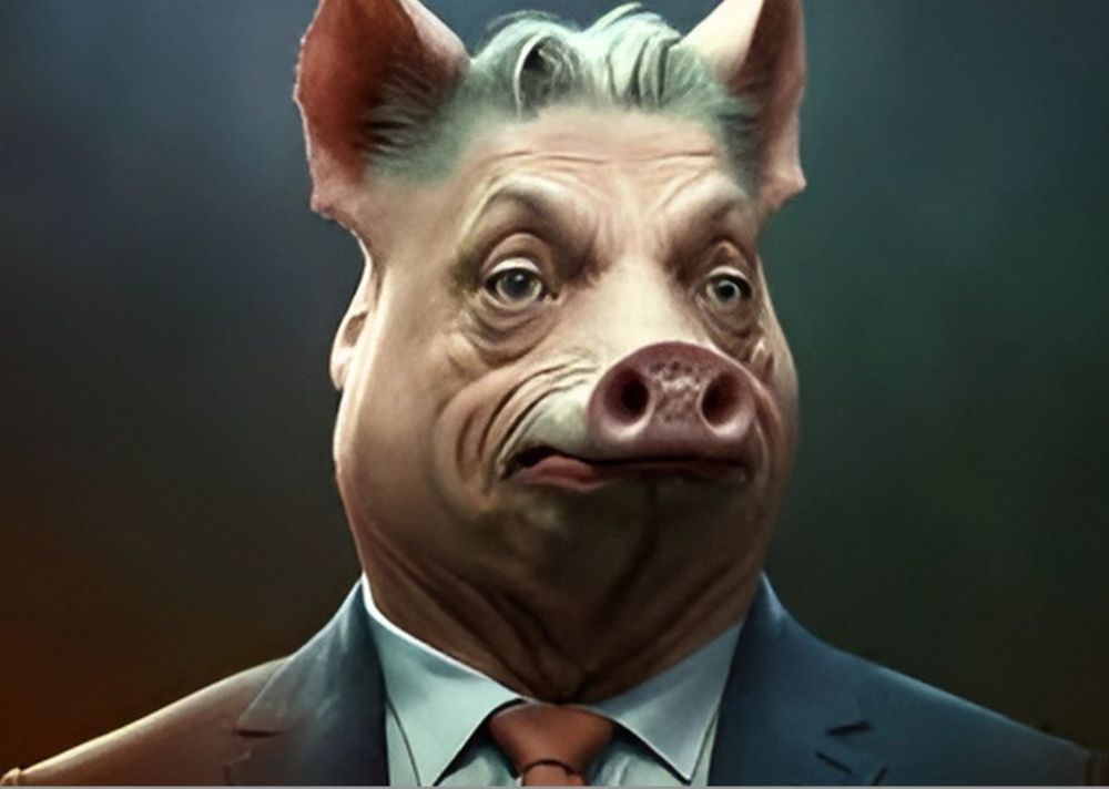 Comment image