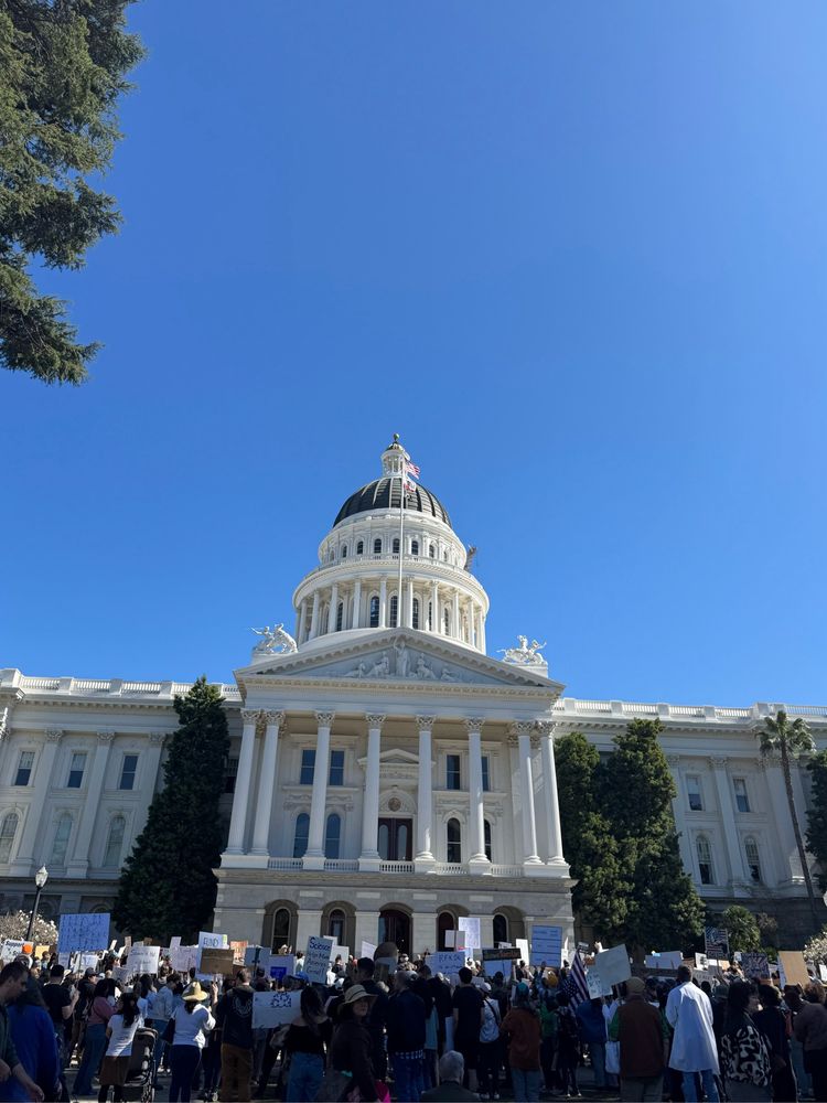 The California State Capitol building with a large crowd in front, holding signs
