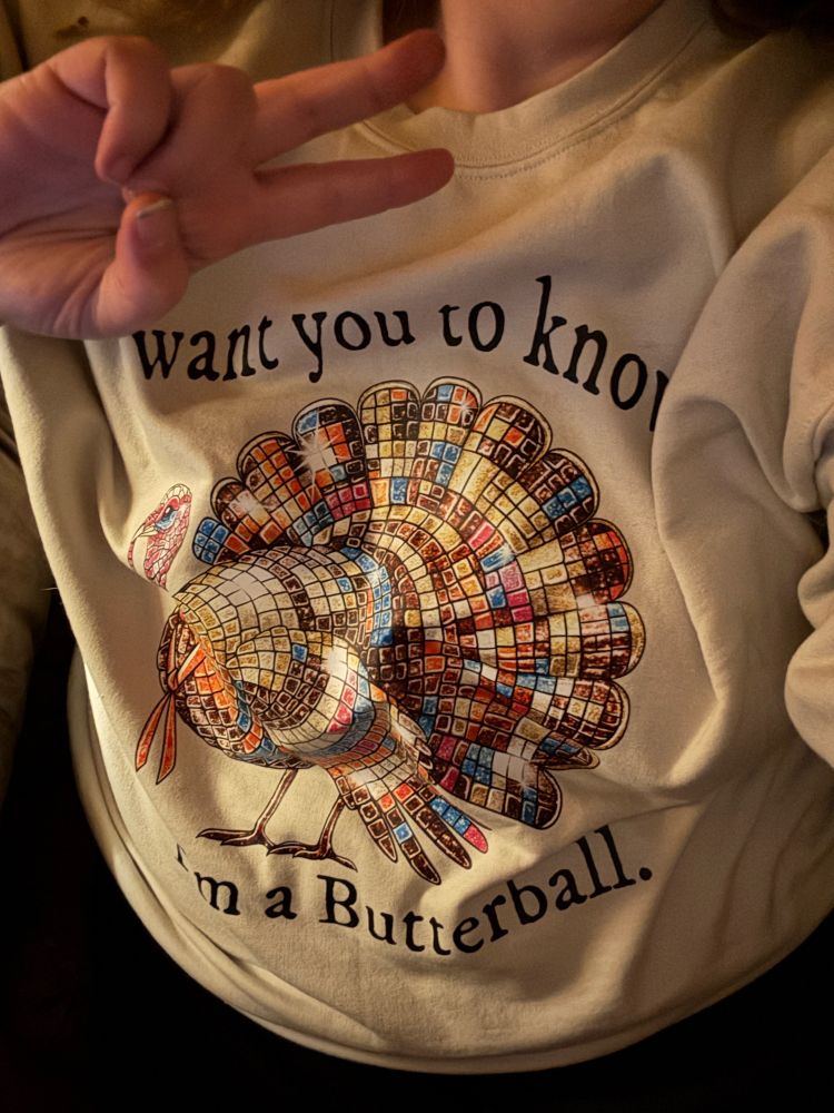 Disco ball turkey on a beige sweatshirt with text that reads “I want you to know I’m a Butterball.”