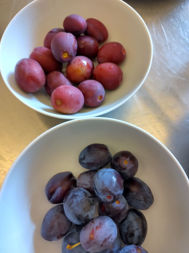 Two small bowls of plums 
