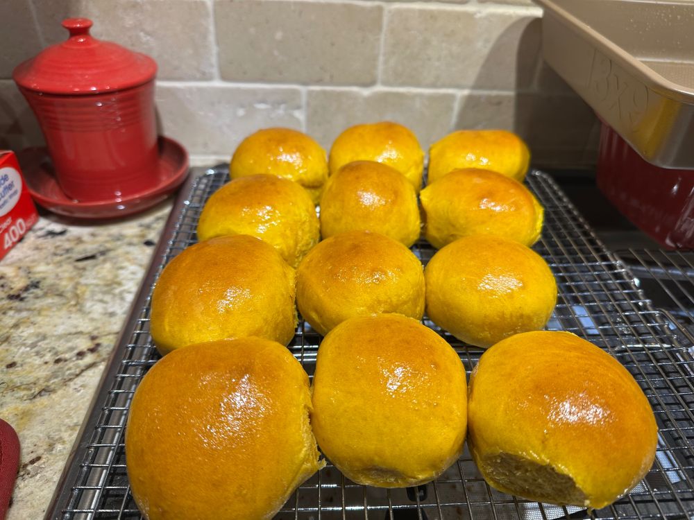 Pumpkin dinner rolls