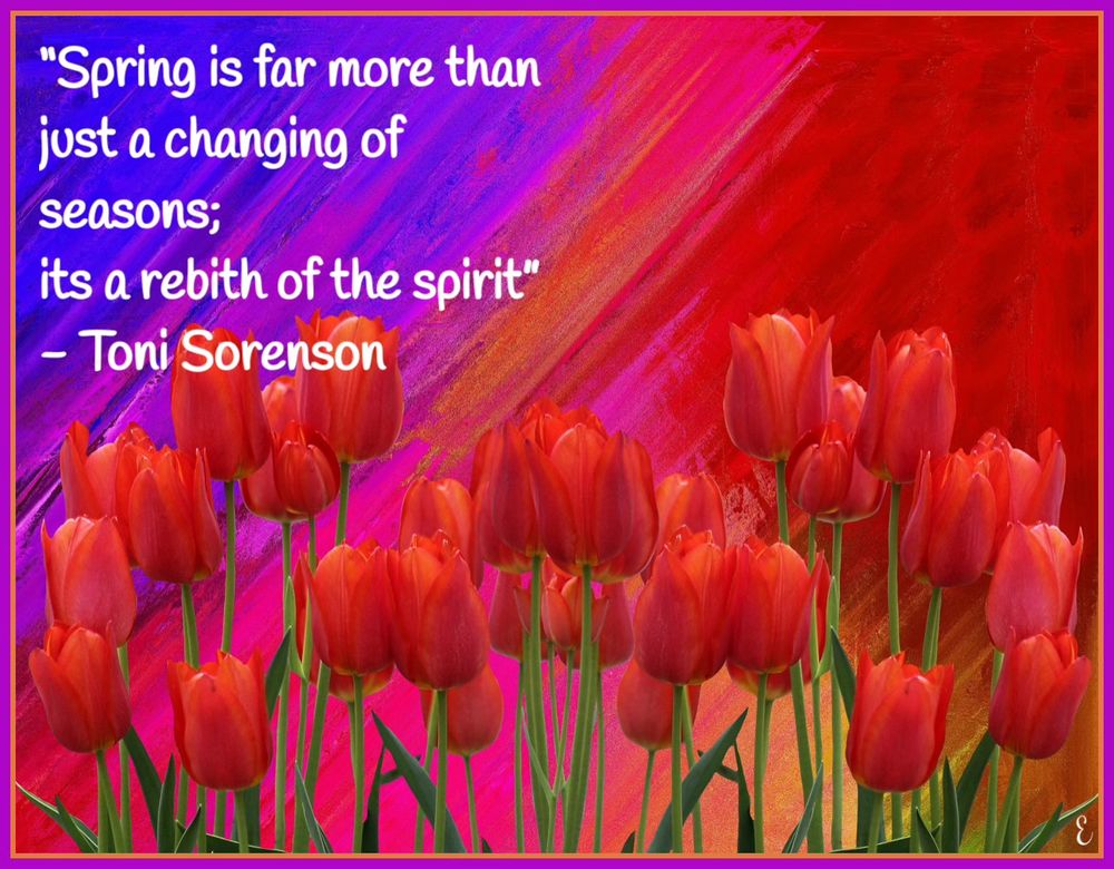 “Springs is far more than just a change of seasons; it’s a rebirth of the spirit”.
-Toni Sorenson