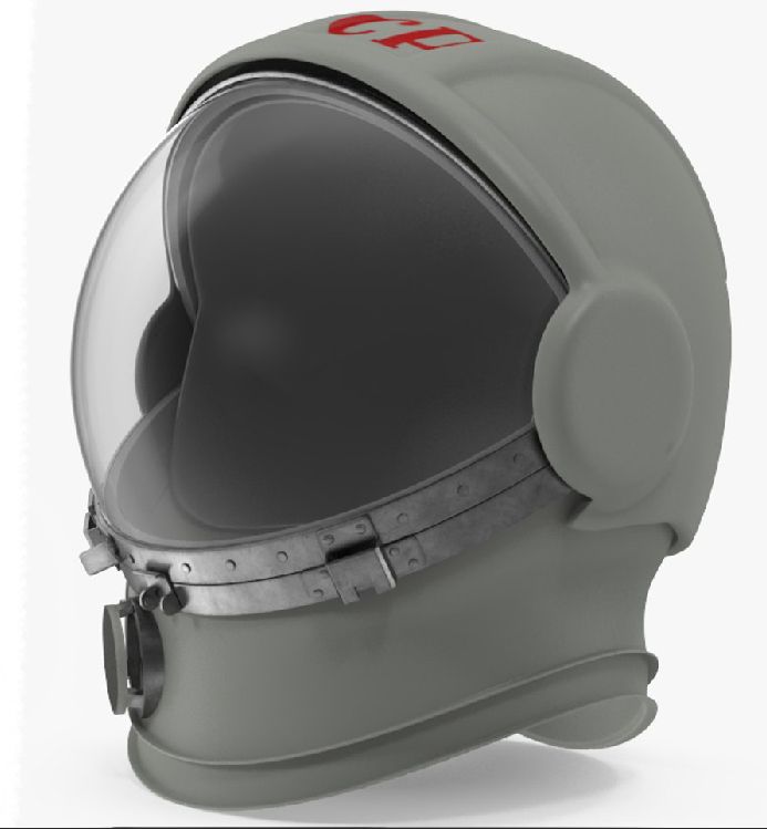 The 3D model snapshot