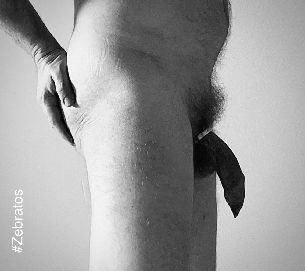 The butt and genitalia of a man, seen from the side. His hand is resting on the buttcheek, his dick and balls hangs heavy. A metal cockring separates his tool from a dense bush of pubic hair. The background is blank. 