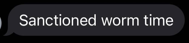 Gray text message that says “Sanctioned worm time”