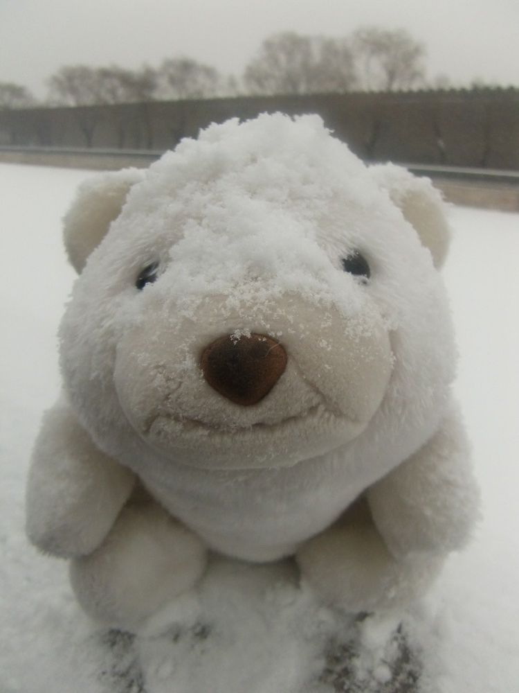 The image shows a plush white bear sitting outdoors in the snow, with a layer of snow covering its head and body. Its cute facial expression adds charm, creating a whimsical and endearing scene. The background features a snowy landscape with blurred trees and fences, giving a serene, wintry atmosphere. The plush bear appears as if it is braving the cold, adding a playful touch to the image.