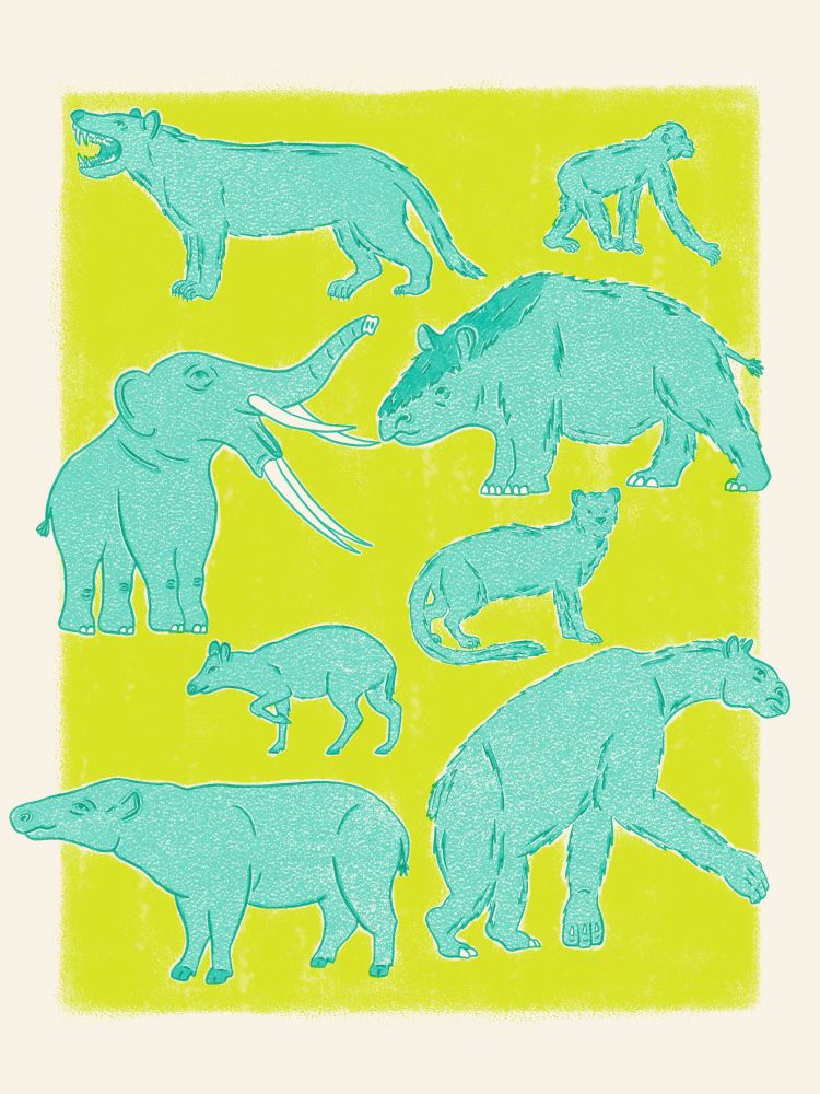 A bright, stylized illustration of the following animals:

• Simbakubwa: an African hyaenodont - neither a lion nor a hyena, a separate carnivore-like mammal.

• Ekembo: An early ape known from Eastern Africa.

• Gompotherium: An extinct elephant cousin that most likely originated in Africa.

• Toxodontid: A rhinoceros-like hooved mammal that lived in South America from the Miocene all the way until the end of the last ice age.

• Dorcatherium: An extinct cousin of modern mouse deer found throughout Europe, Eastern Africa, and the Sivalik Hills.

• Proailurus: Possibly the world's first cat! 

• Bothriogenys: A type of anthracothere (hippo-like hooved animal) from Africa.

• Anthracothere: Hippo-like hooved mammals with narrow, pig-like faces. 

• Chalicothere: A big, strange, clawed ungulate that was likely related to horses and had long arms like apes. 