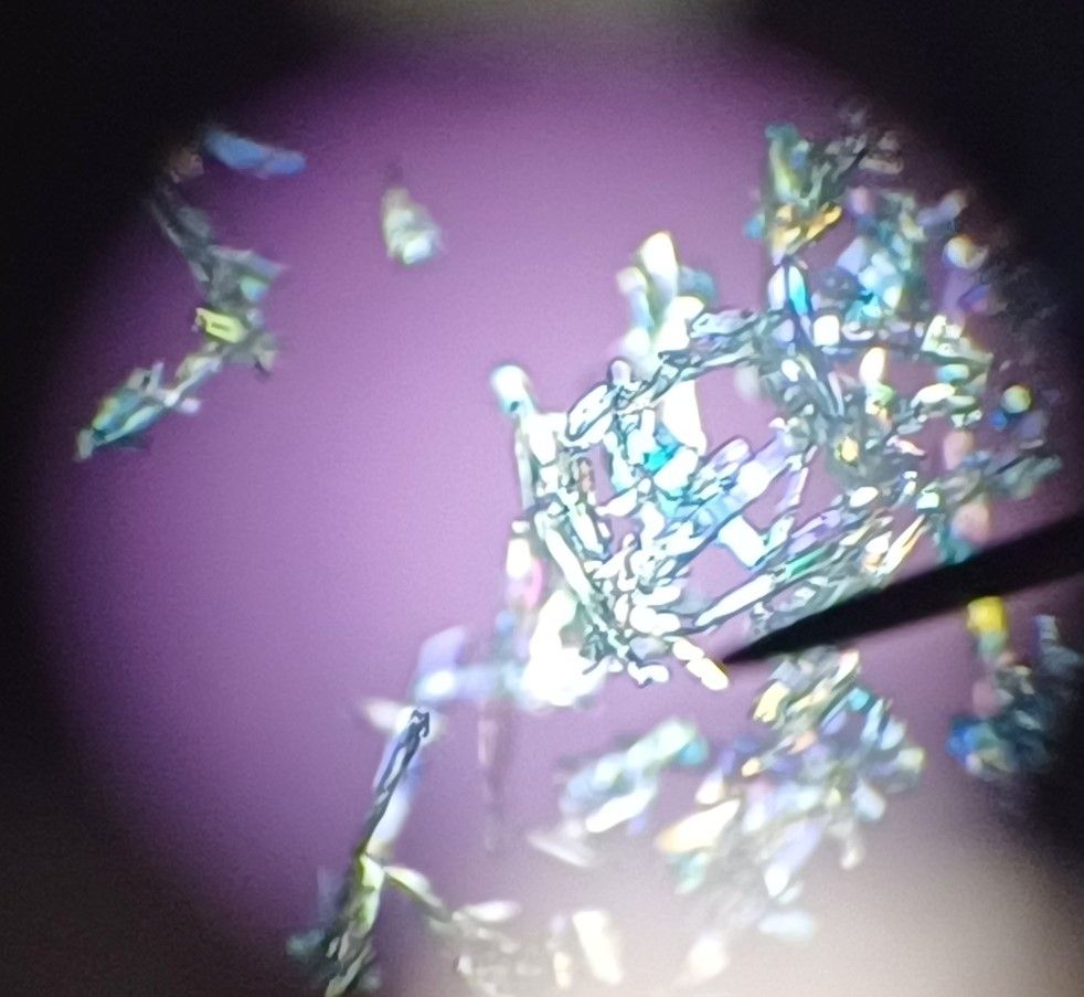 Sugar crystals between crossed polarizing filters.
