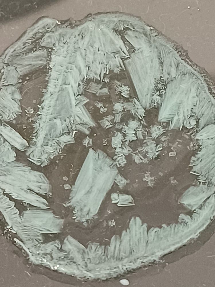 Then leave to cool. The crystals form slowly, which might take longer than a lesson, but the results are very beautiful.