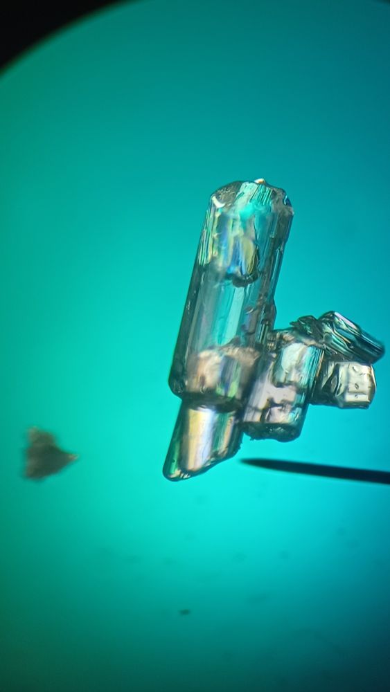 Magnesium sulfate crystals between crossed polarizing filters.