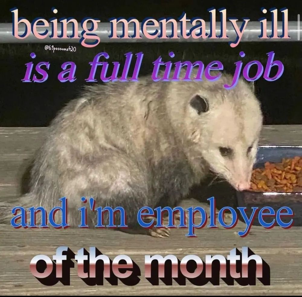 possum going "being mentally ill is a full time job and i'm employee of the month"