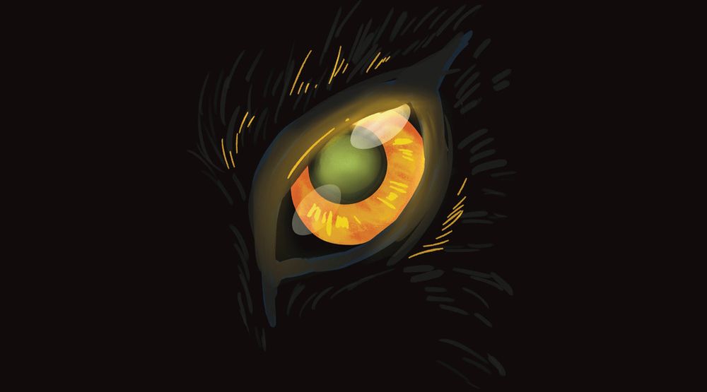 A wolf eye