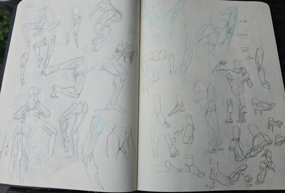 Sketchbook of anatomy studies of the leg and feet