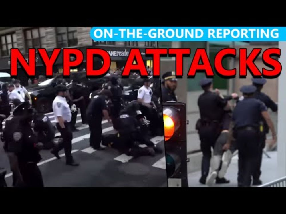NYPD Beat the SH*T Out of Trump ICE Raid Protesters