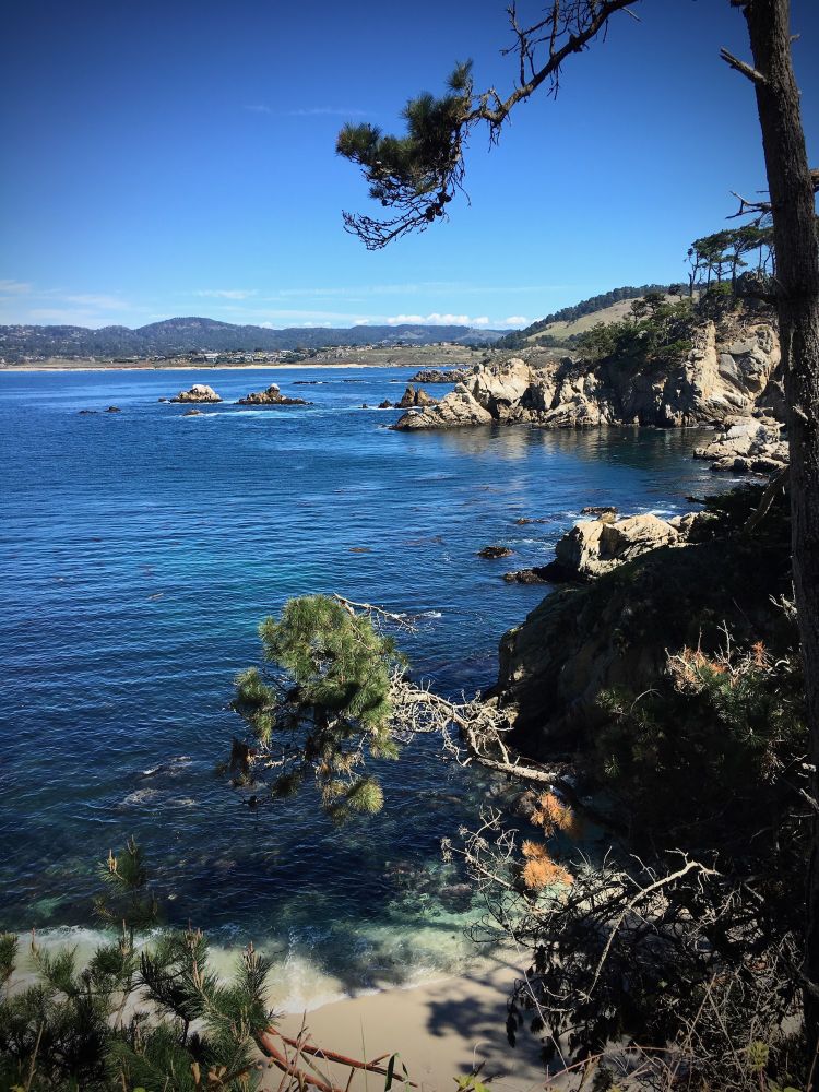 #photoOfTheDay shot on iPhone 6s Plus taken in California, USA | AWS Rekognition sees #Nature 99%, #Outdoors 99%, #Promontory 99%, #Water 99%, #Land 99% | Sent with ❤️