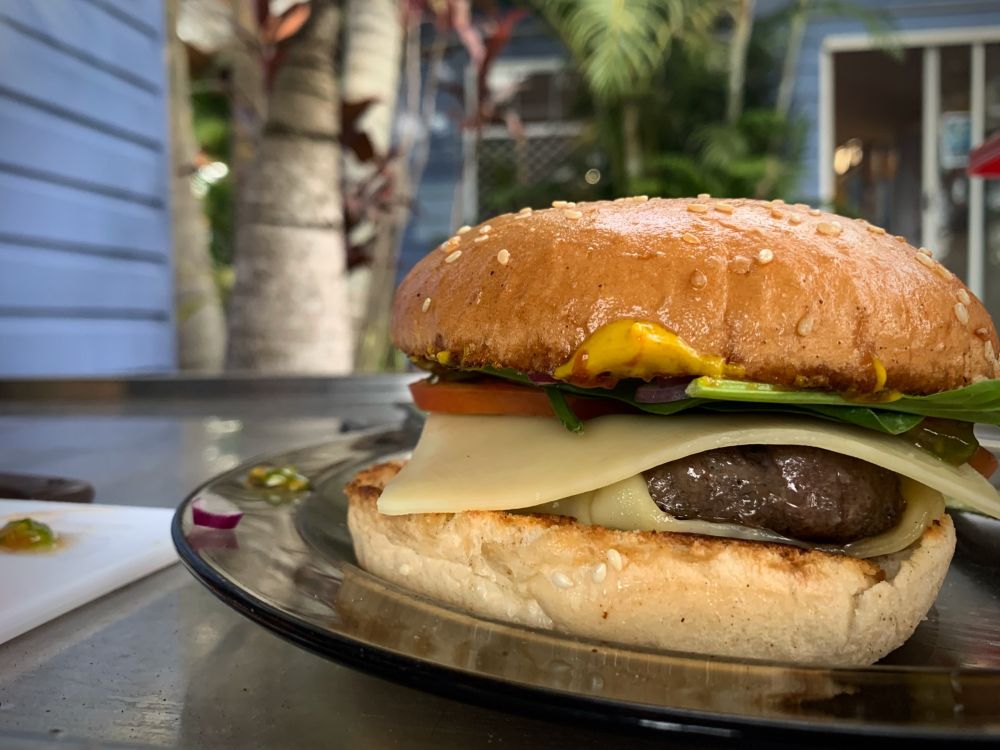 #photoOfTheDay shot on iPhone XS taken in Port Macquarie NSW 2444, Australia | AWS Rekognition sees #Burger 99%, #Food 99%, #FoodPresentation 95%, #Bread 77%, #Plate 76% | Sent with ❤️
